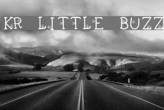 KR Little Buzz Font examples