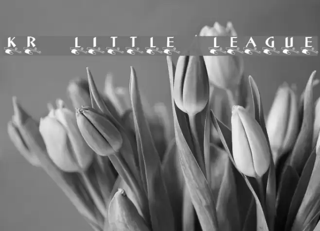 KR Little League Font examples