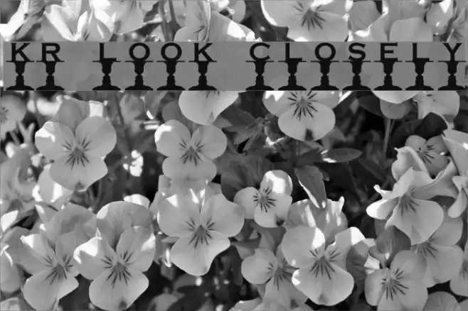 KR Look Closely フォント examples