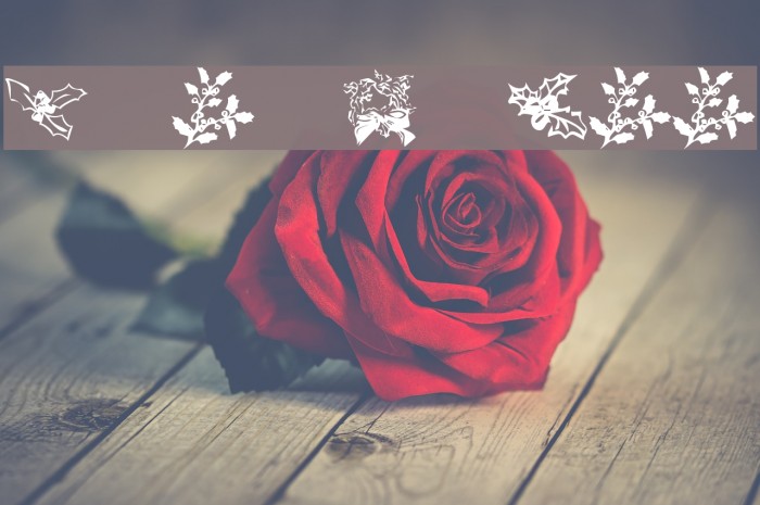 KR Lots Of Holly Font examples