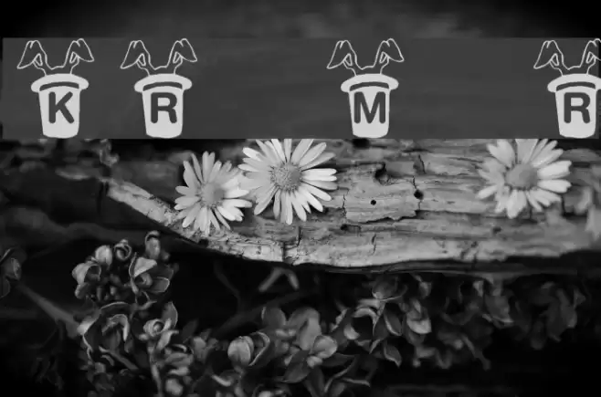 KR Magic Rabbit Font examples