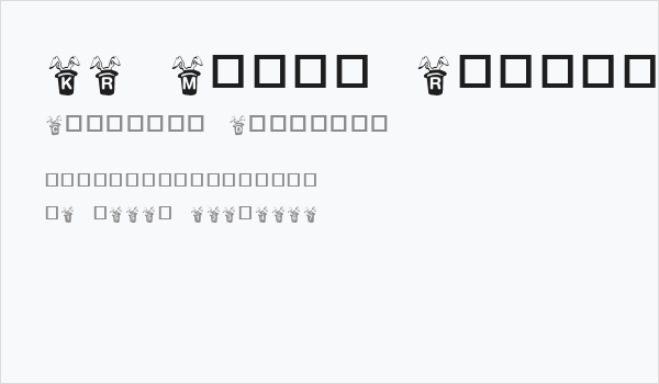 KR Magic Rabbit Business Card