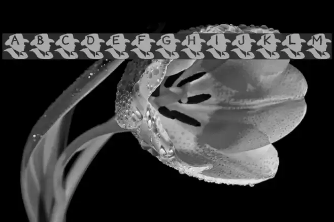 KR Maverick Font examples