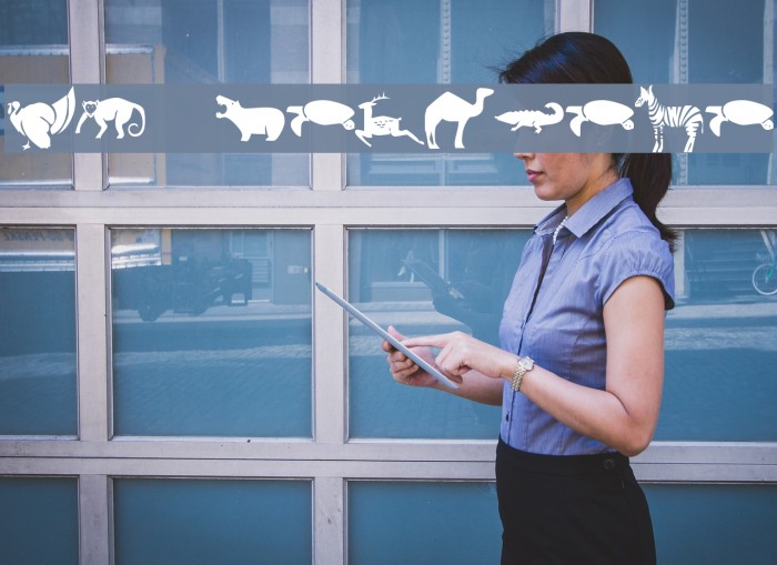 KR Menagerie Example 2