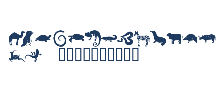 KR Menagerie Lowercase