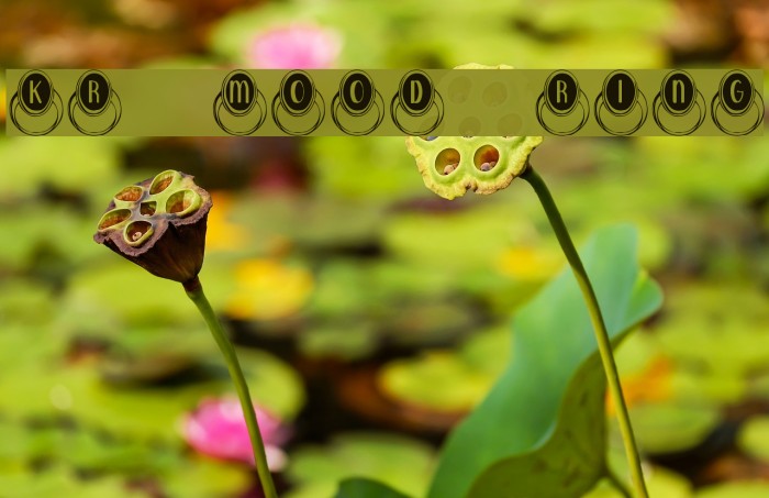 KR Mood Ring Font examples