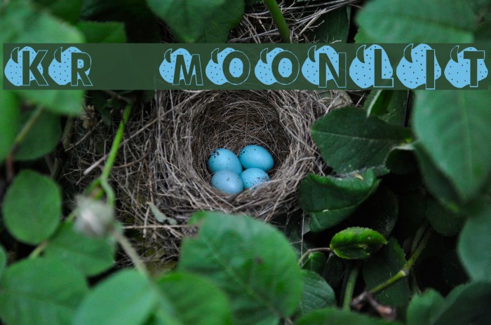 KR Moonlit Font examples