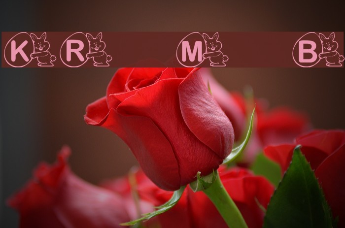 KR Mr. Bunny Font examples