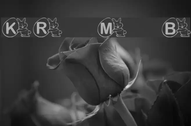 KR Mr. Bunny フォント examples