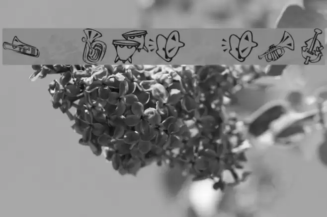 KR Music Class Font examples