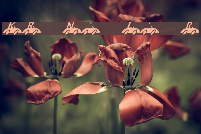 KR Nick's Lil' Racer Example 3