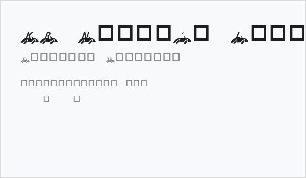 KR Nick's Lil' Racer Business Card