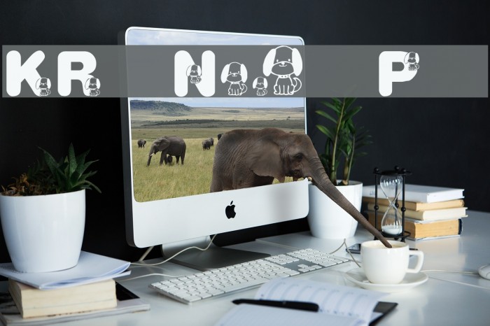 KR Nick's Puppy 1 Example 3