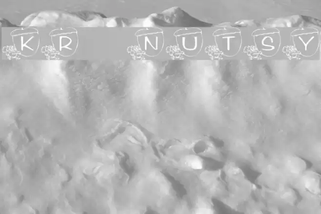 KR Nutsy! Polices examples