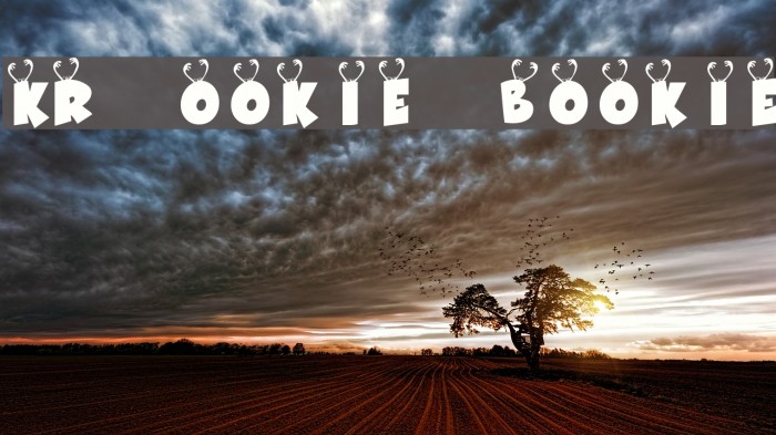 KR Ookie Bookie Example 3