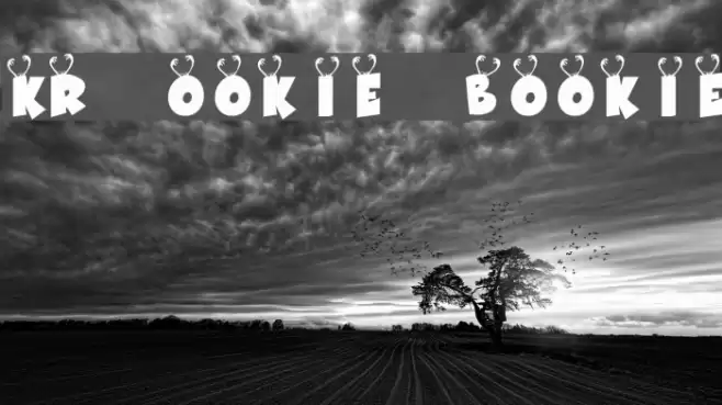 KR Ookie Bookie Font examples