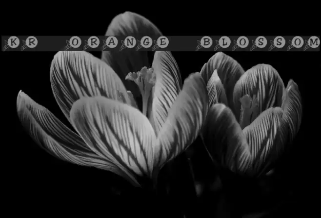 KR Orange Blossom Font examples