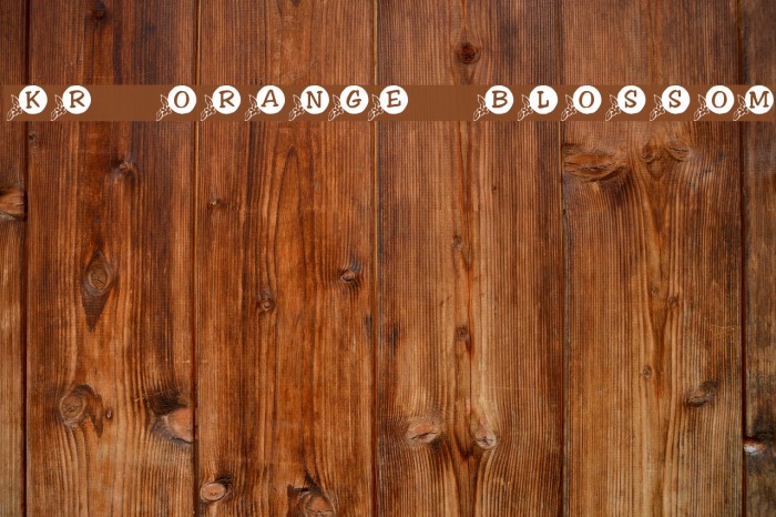 KR Orange Blossom Font examples