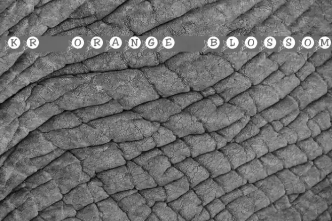 KR Orange Blossom Font examples