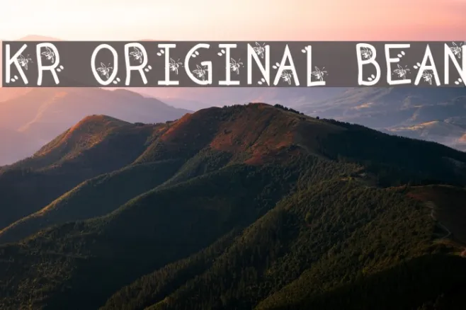 KR Original Bean Example 1