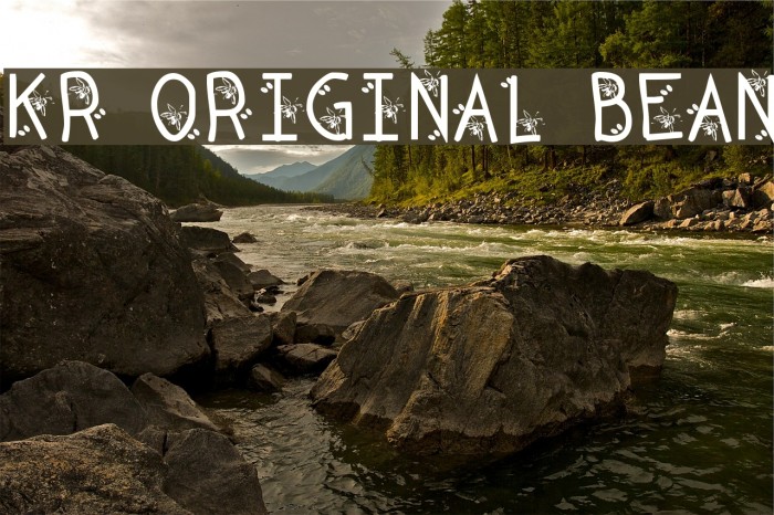 KR Original Bean Font examples