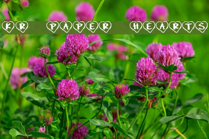 KR Paper Hearts Font examples