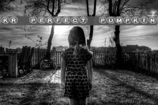 KR Perfect Pumpkin Font examples