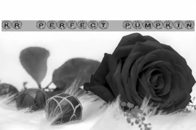 KR Perfect Pumpkin Font examples