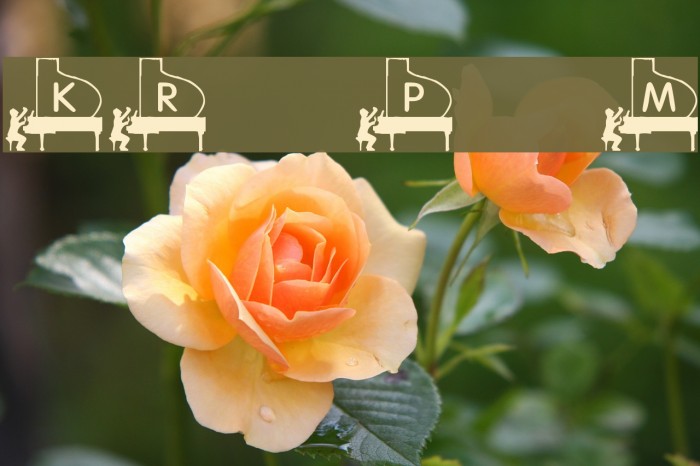 KR Piano Man Font examples