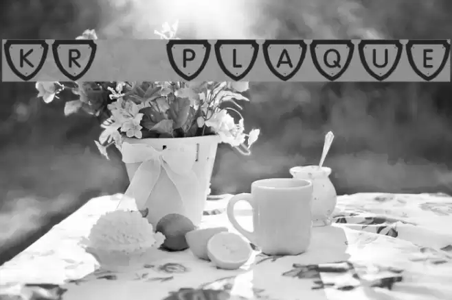 KR Plaque Font examples