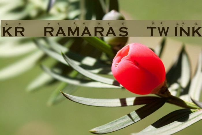 KR Ramara's Twink Font examples