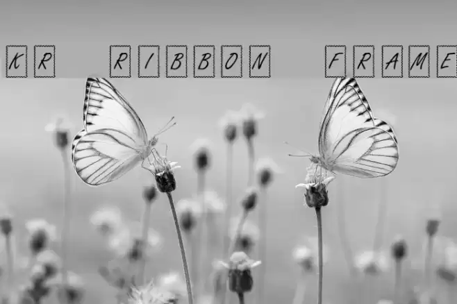 KR Ribbon Frame Font examples
