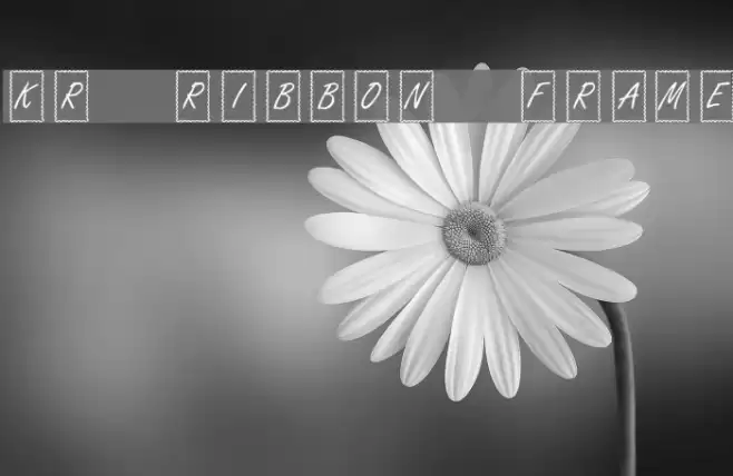 KR Ribbon Frame خط examples