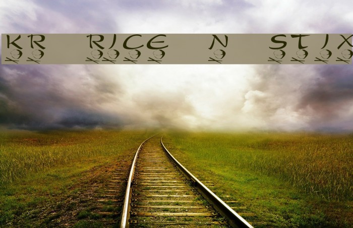 KR Rice N Stix Example 1