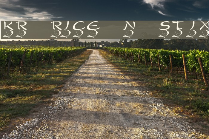 KR Rice N Stix Example 2