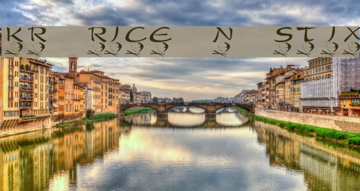 KR Rice N Stix Example 3