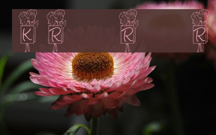 KR Ronny's Rose Font examples