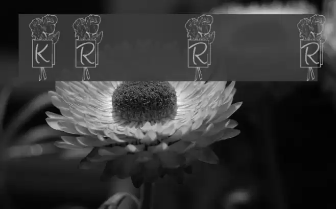 KR Ronny's Rose Font examples