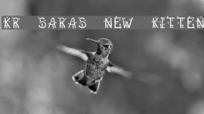 KR Sara's New Kitten Font examples