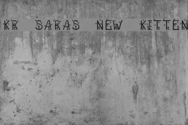 KR Sara's New Kitten Font examples