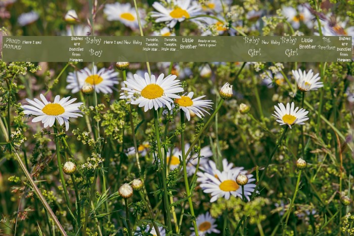 KR Scrappin Babies Font examples