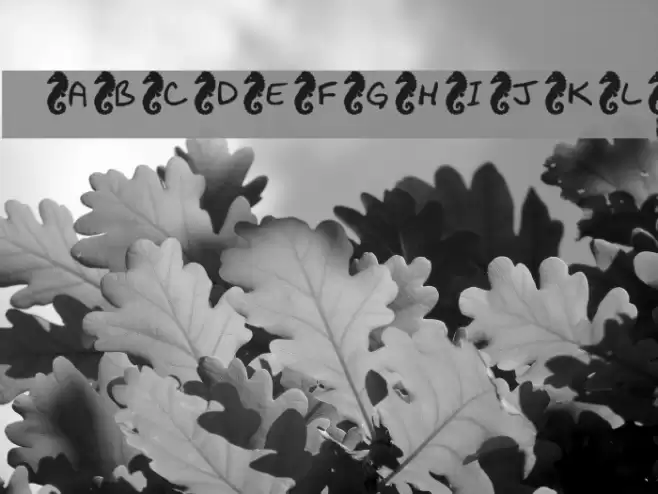 KR Seahorse Font examples