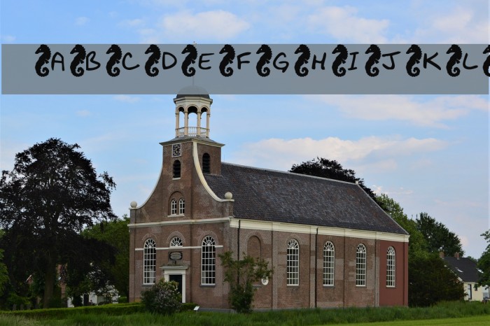 KR Seahorse Example 1