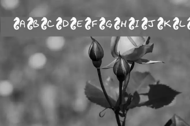 KR Seahorse Font examples