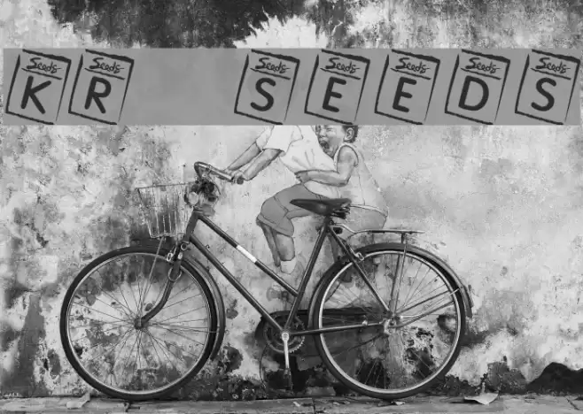 KR Seeds Font examples