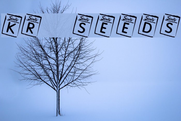 KR Seeds Font examples