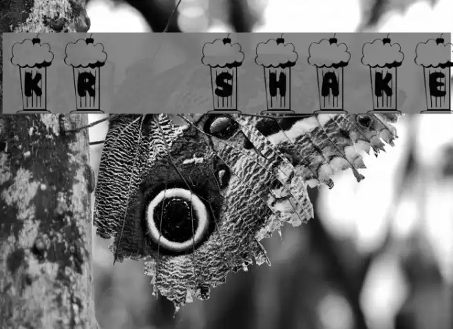 KR Shake Font examples