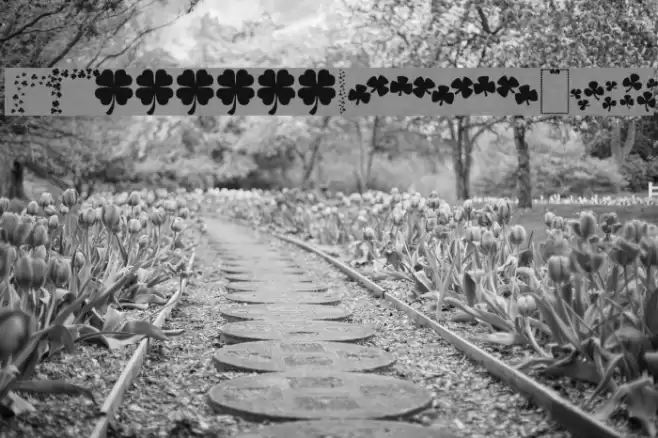 KR Shams Font examples