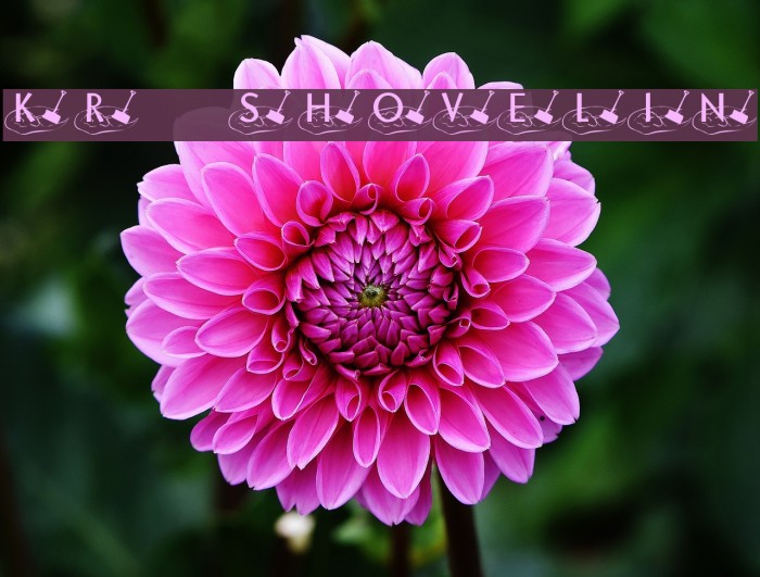 KR Shovelin फ़ॉन्ट examples