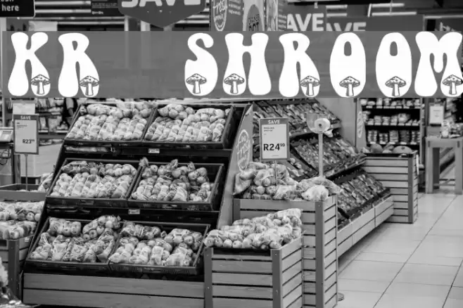 KR Shroom Font examples